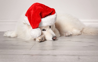 Photo of Cute dog with Christmas hat on floor near light wall