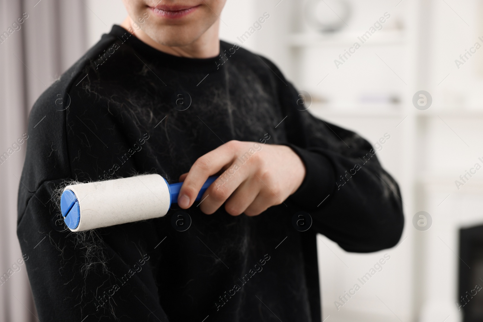 Photo of Pet shedding. Man with lint roller removing dog's hair from sweater at home, closeup