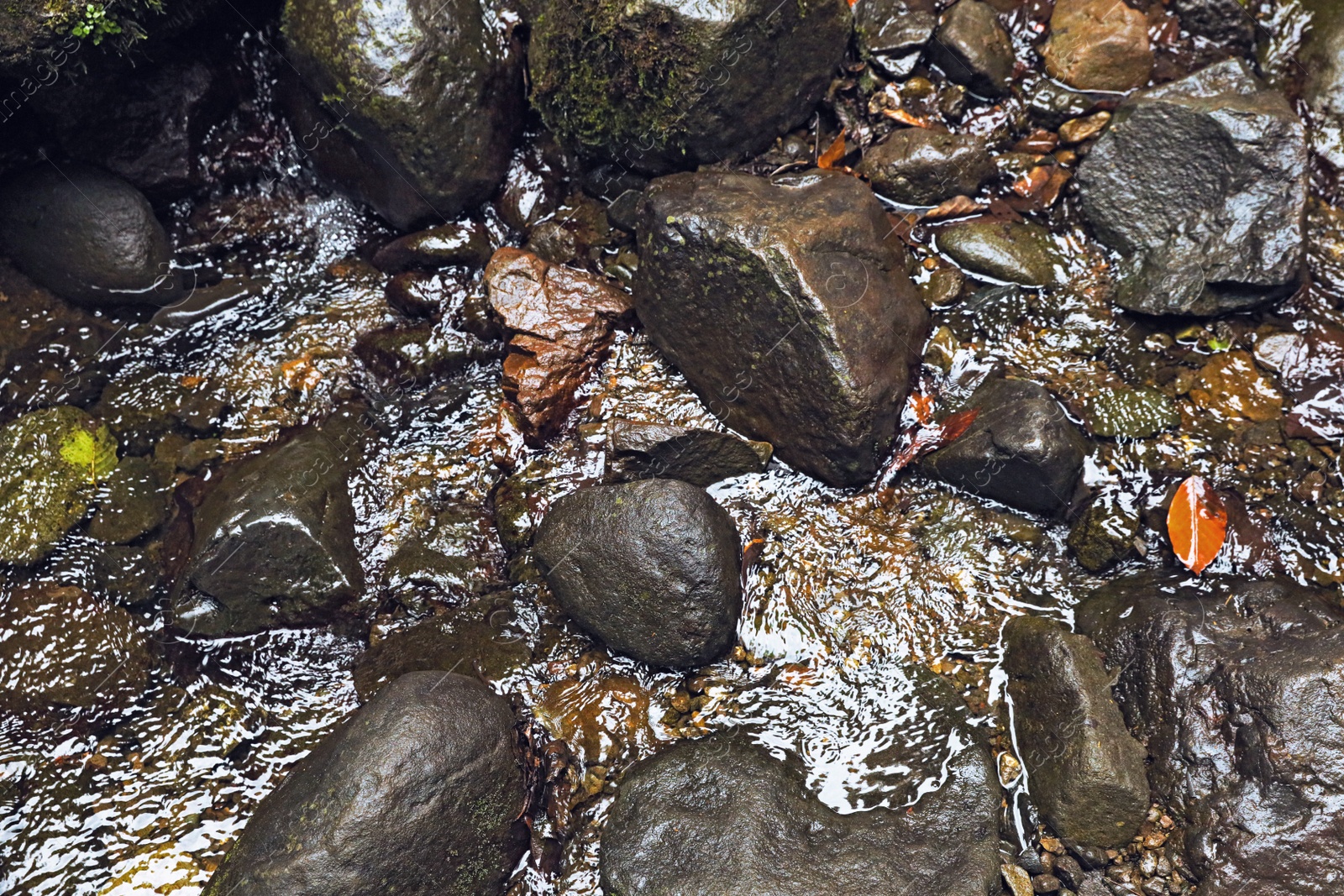 Photo of Beautiful stream and stones in park, above view