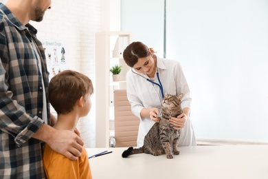 Photo of Father and son with their pet visiting veterinarian in clinic. Doc examining cat