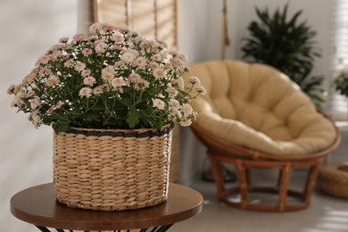 Beautiful chrysanthemum flowers on wooden table indoors, space for text. Stylish interior element