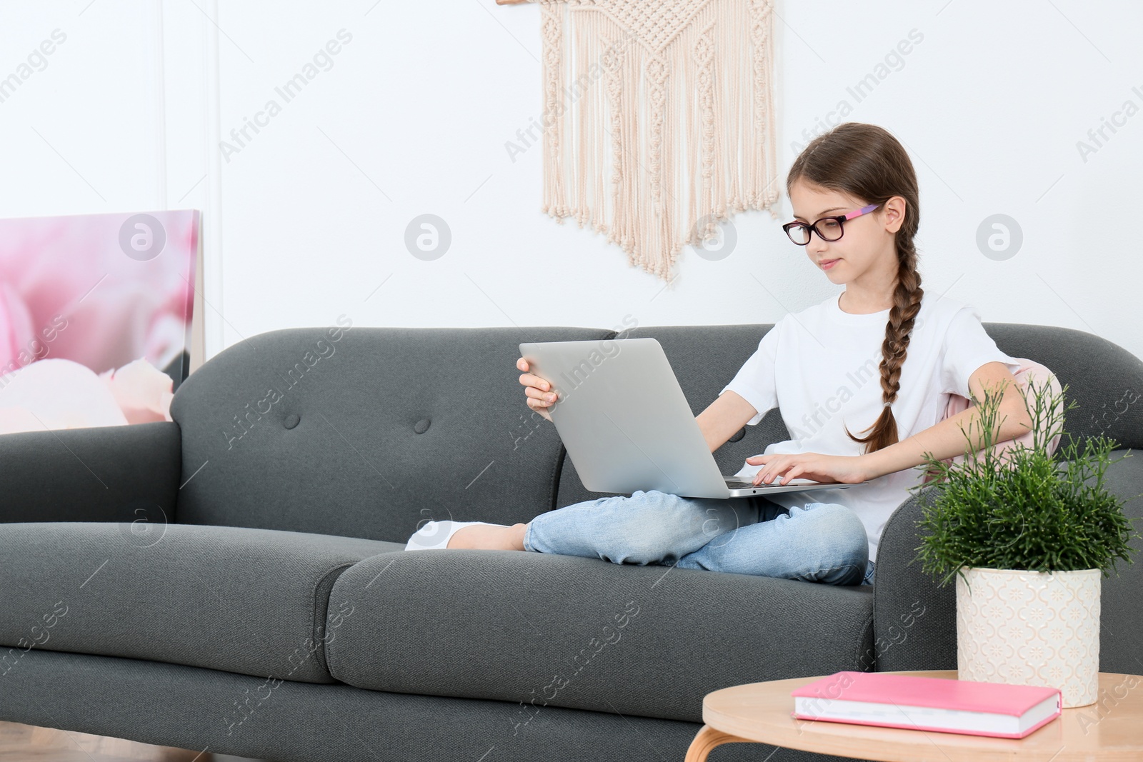 Photo of Girl with laptop on sofa at home