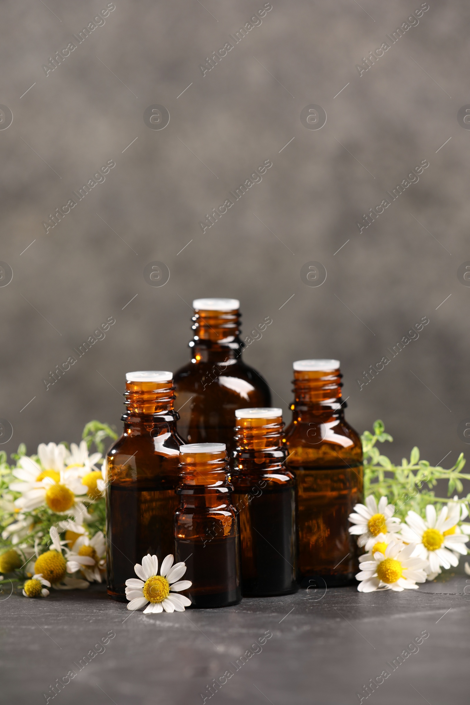 Photo of Bottles with essential oils, chamomile and thyme on grey textured table. Space for text