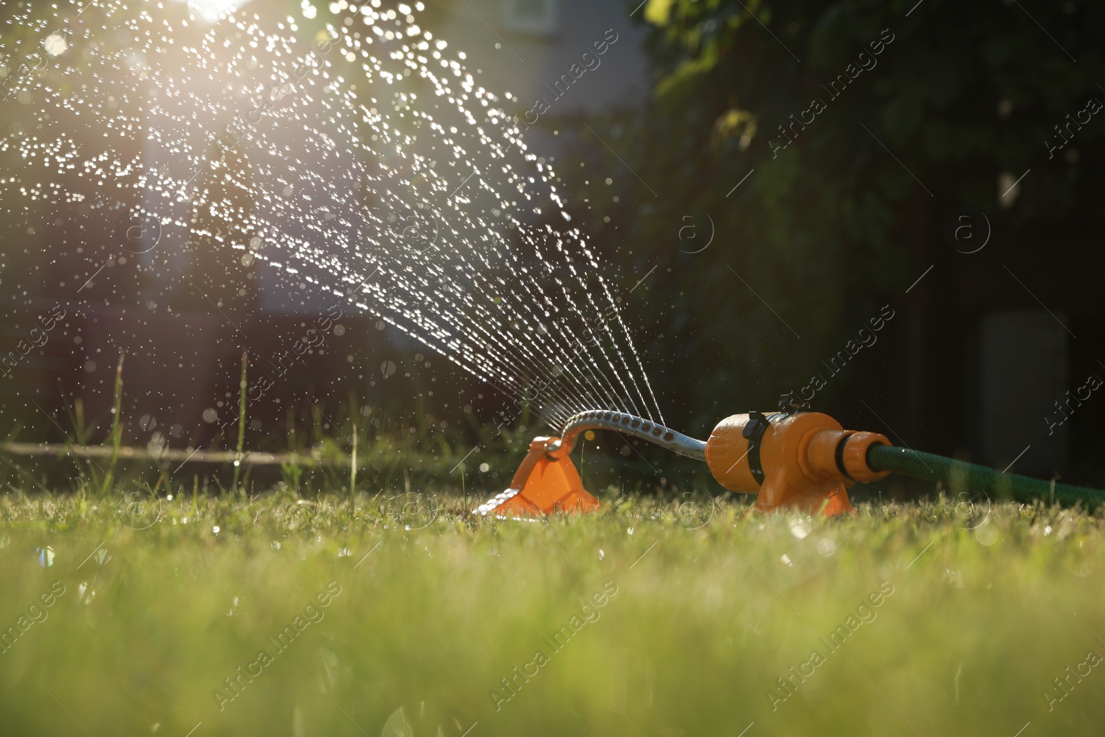 Photo of Automatic sprinkler watering green grass on sunny day in garden. Irrigation system