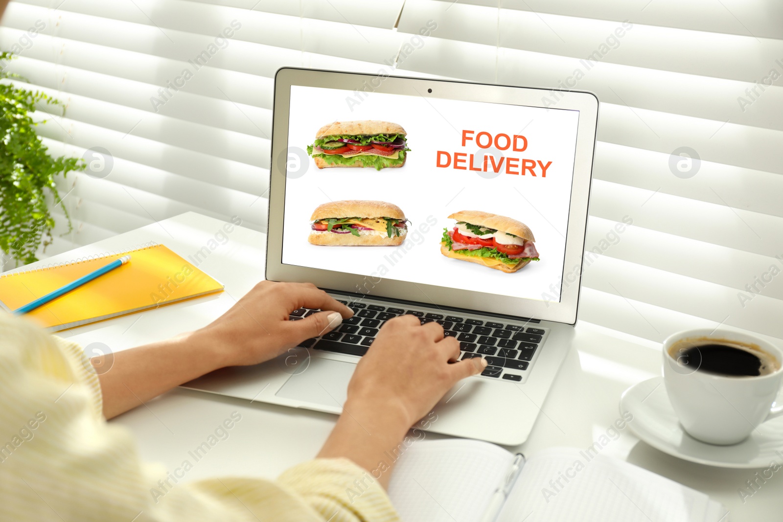 Image of Woman using laptop for online food order during quarantine, closeup. Delivery service