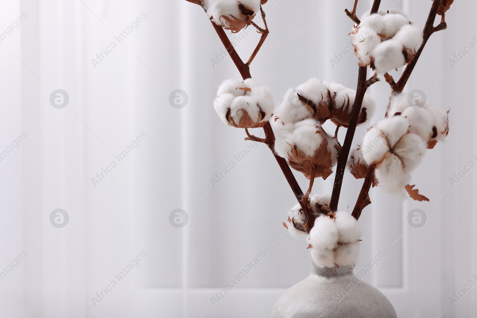 Photo of Vase with cotton branches indoors, closeup. Space for text