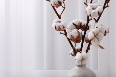 Vase with cotton branches indoors, closeup. Space for text