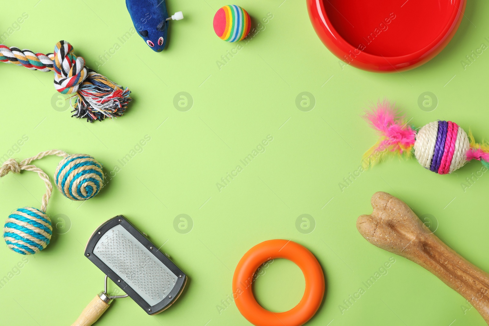 Photo of Flat lay composition with accessories for dog and cat on color background. Pet care