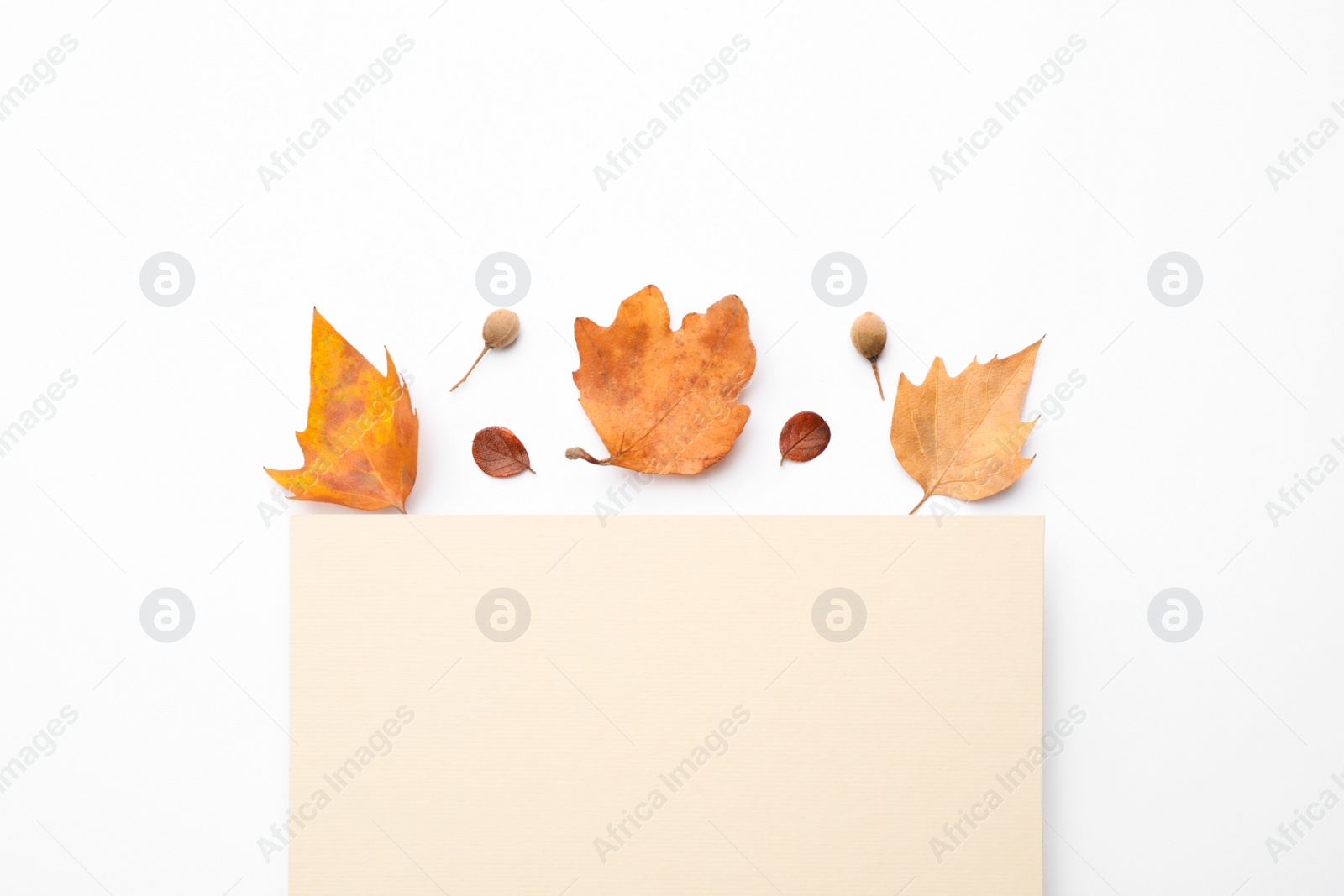 Photo of Flat lay composition with autumn leaves and blank card on white background, space for text