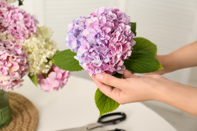 Photo of Woman holding beautiful hydrangea flower indoors, closeup. Interior design element