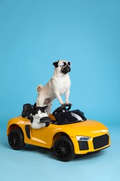 Photo of Funny pug dog and cat in toy car on light blue background