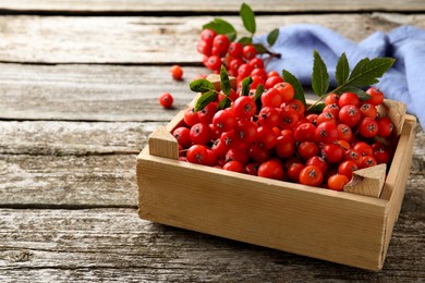 Photo of Fresh ripe rowan berries with green leaves on wooden table, space for text