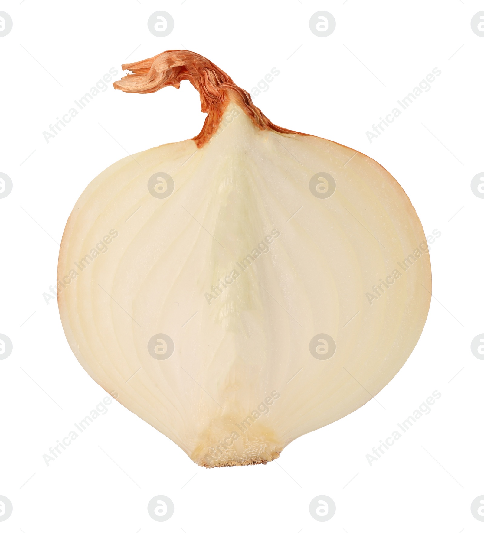 Photo of Half of fresh ripe onion isolated on white