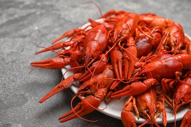 Photo of Delicious boiled crayfishes on grey table, closeup