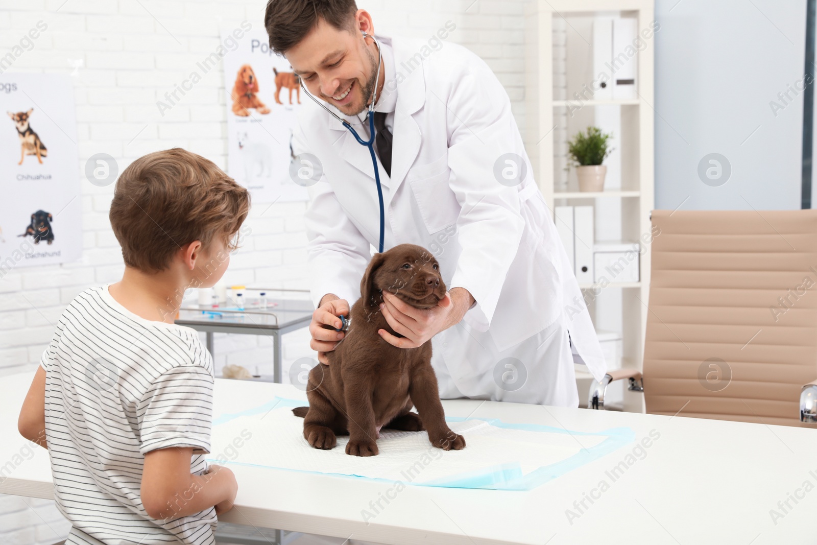 Photo of Boy with his pet visiting veterinarian in clinic. Doc examining puppy