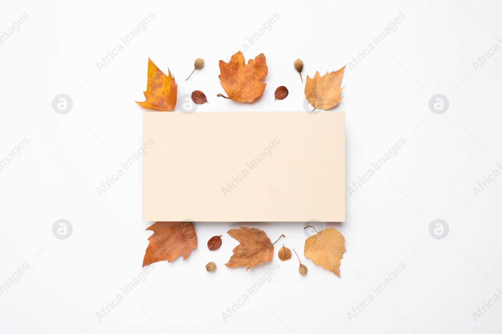 Photo of Flat lay composition with autumn leaves and blank card on white background, space for text