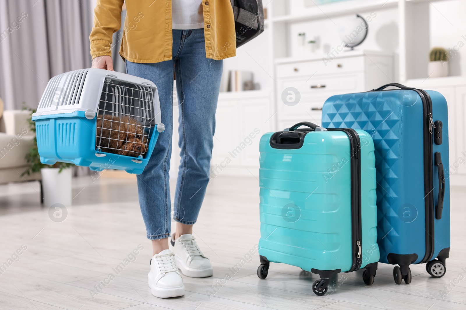 Photo of Travel with pet. Woman holding carrier with dog at home, closeup