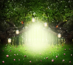 Image of Fantasy world. Enchanted forest with magic lights, beautiful butterflies and way between trees