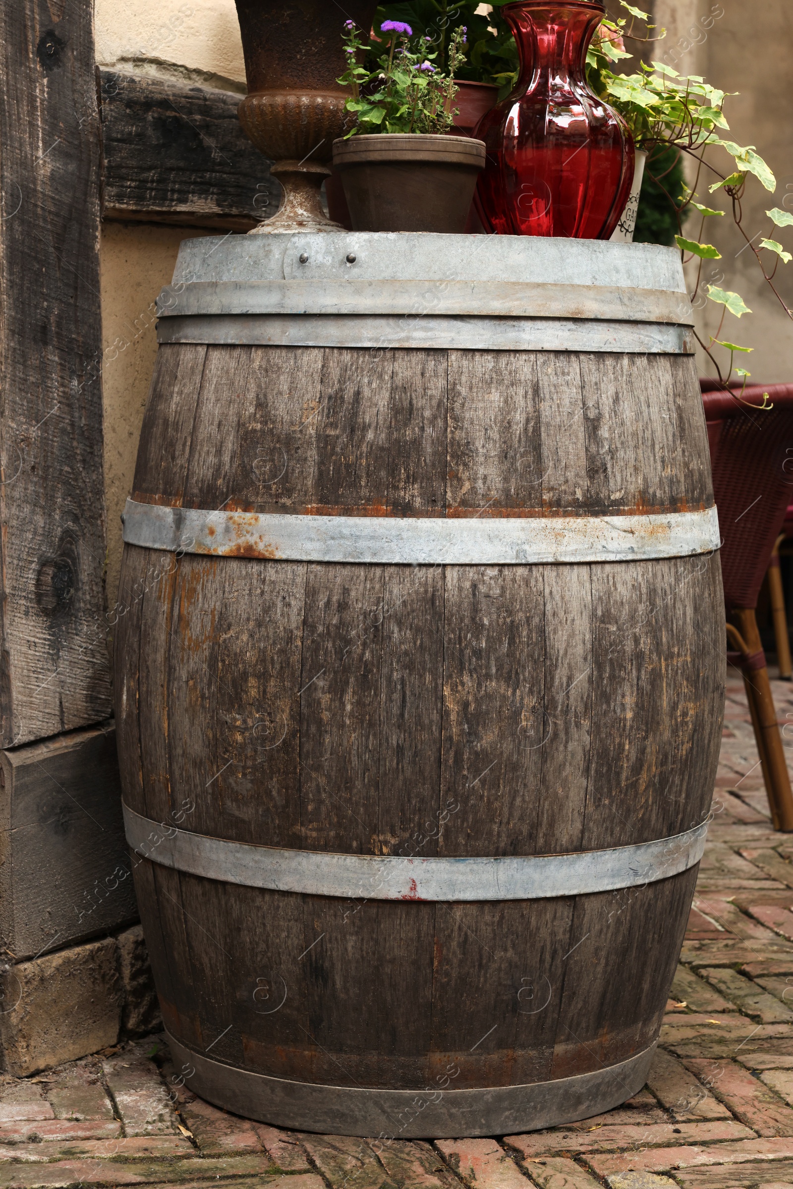 Photo of Traditional wooden barrel and beautiful houseplants outdoors