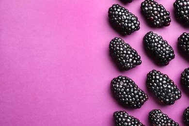 Photo of Tasty ripe blackberries on purple background, flat lay. Space for text