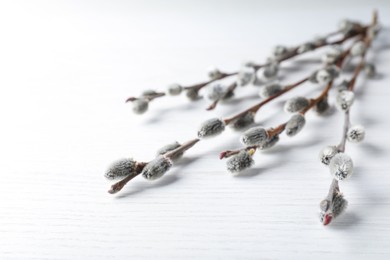 Photo of Beautiful pussy willow branches on white wooden background, closeup