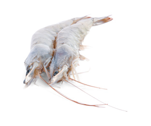 Photo of Fresh raw shrimps isolated on white. Healthy seafood