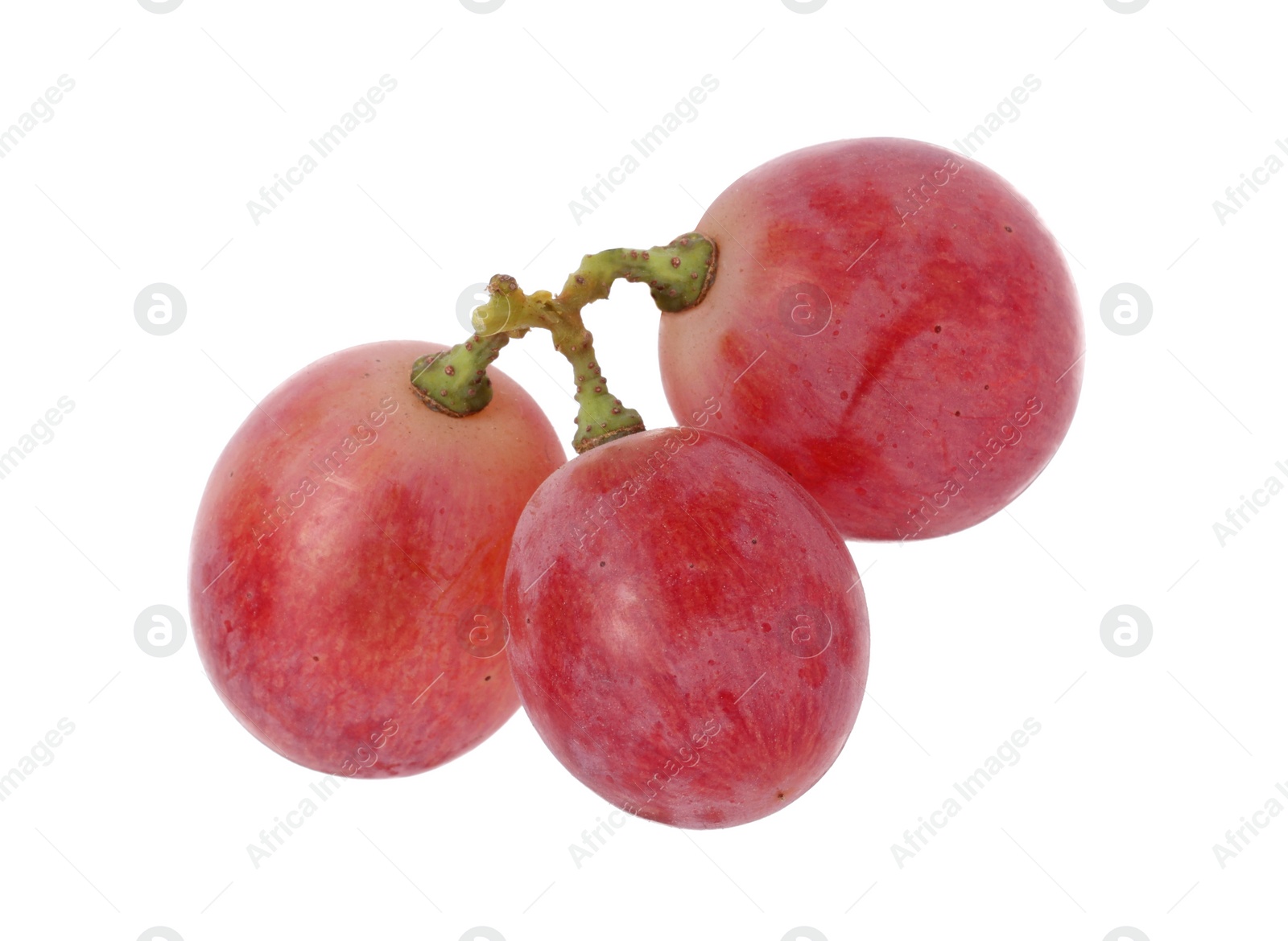 Photo of Tasty ripe red grapes isolated on white