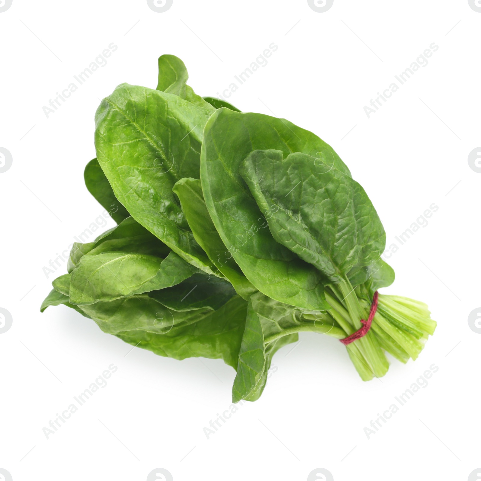 Photo of Bundle of fresh spinach isolated on white, top view