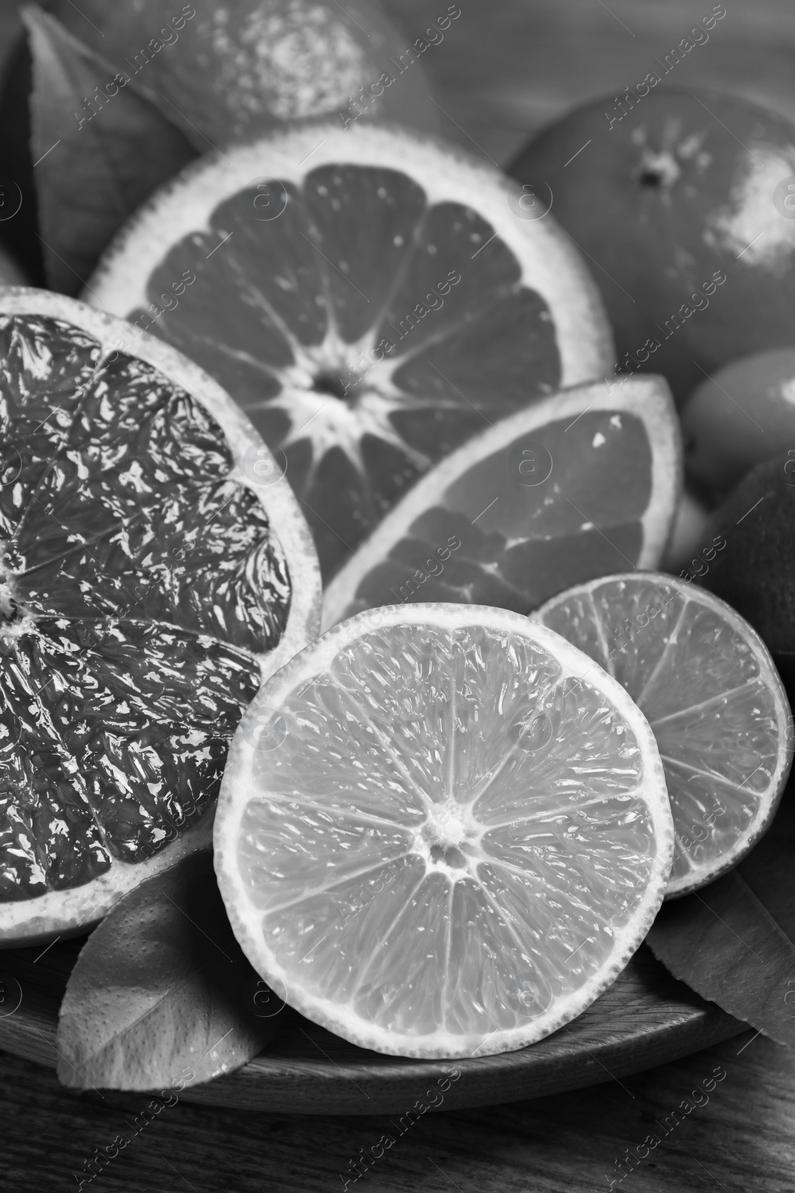 Image of Fresh juicy citrus fruits on plate, closeup. Black and white tone 