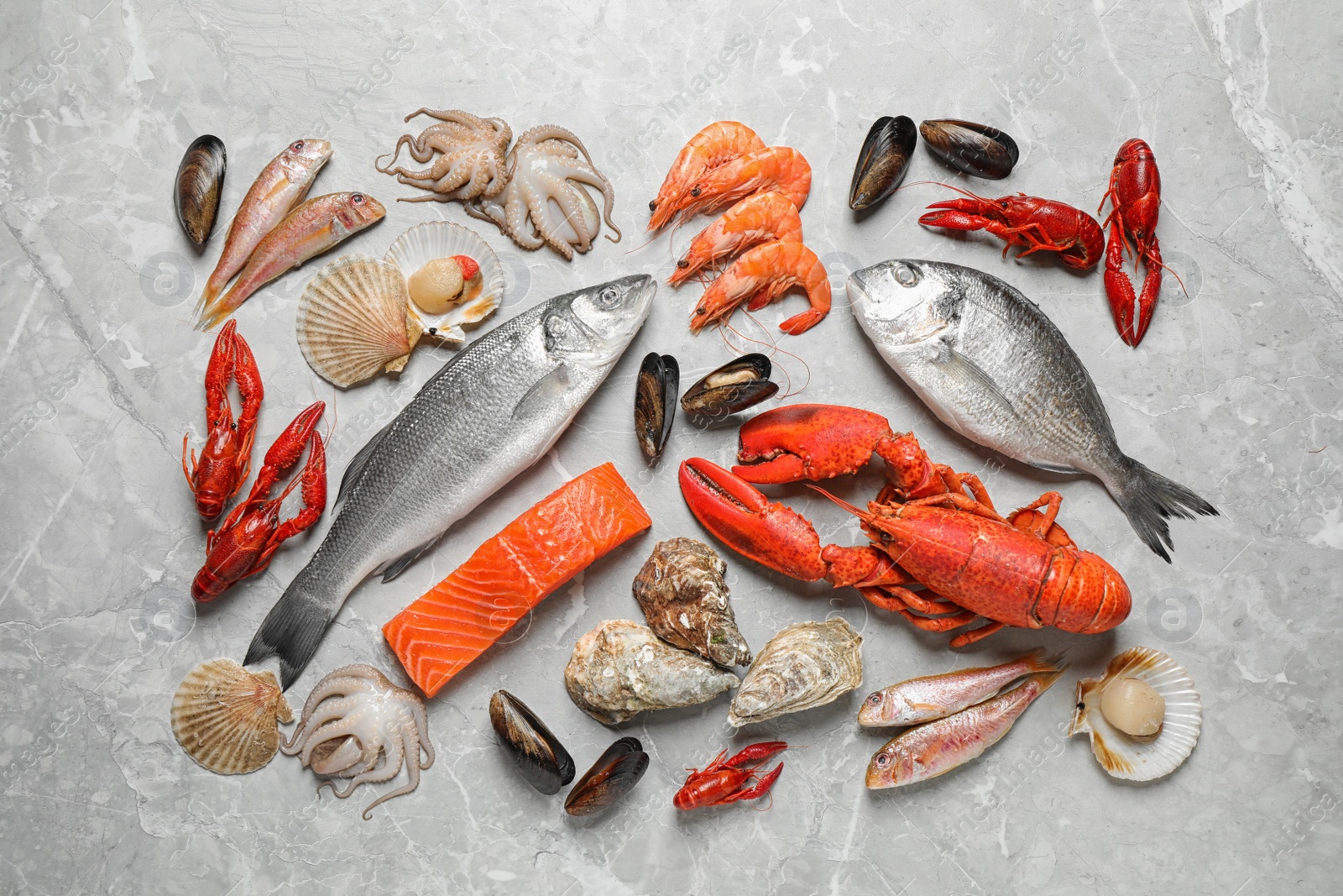 Photo of Fresh fish and seafood on marble table, flat lay