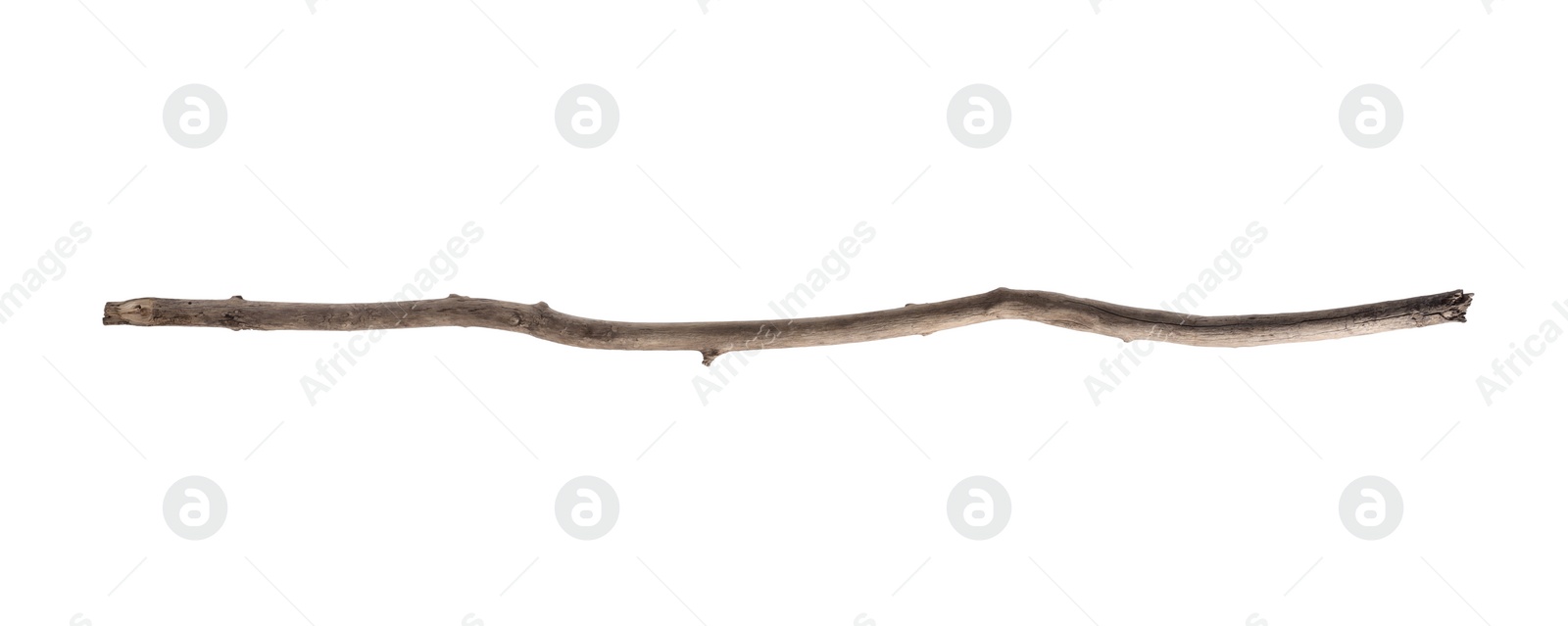 Photo of One old wooden stick isolated on white