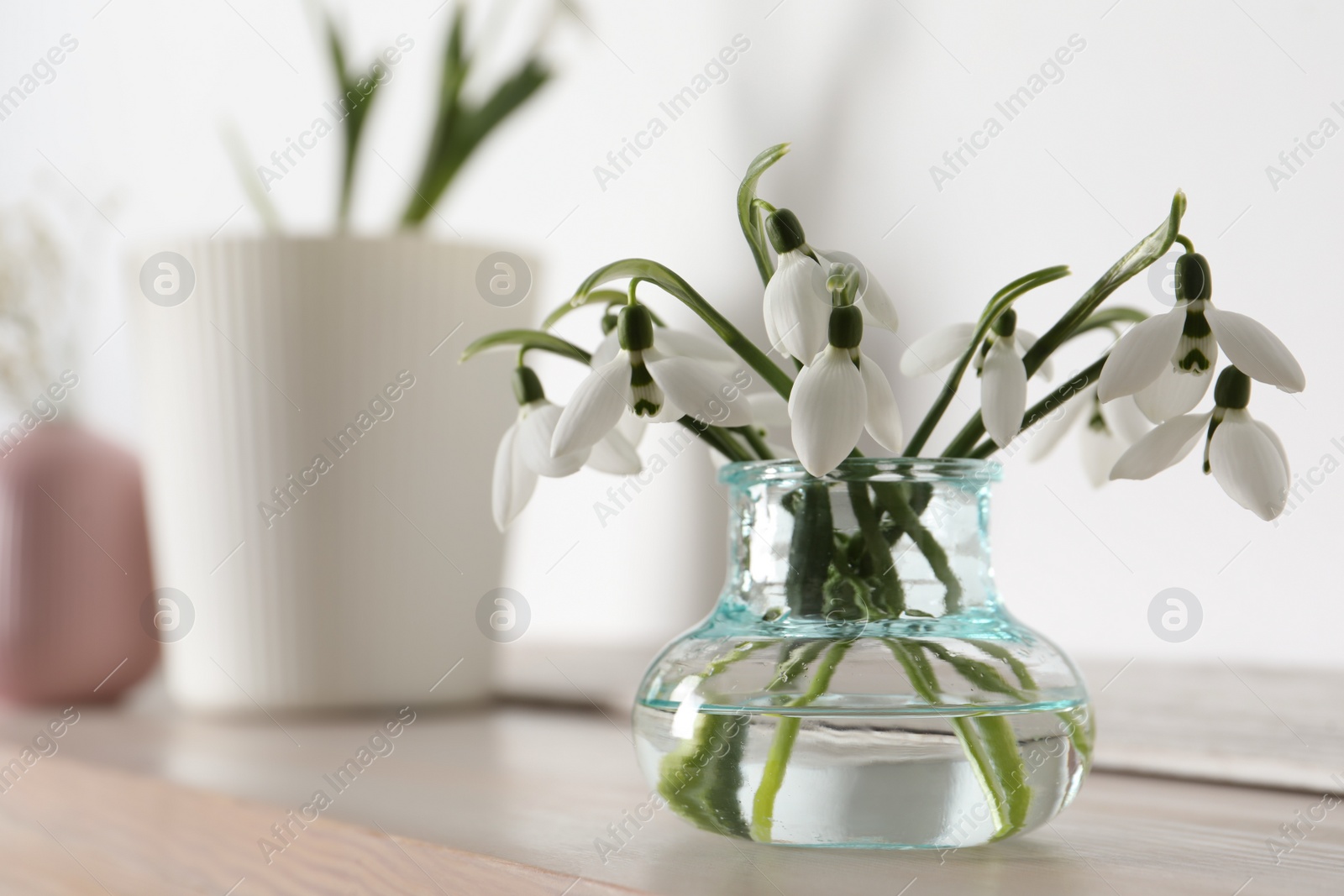 Photo of Beautiful snowdrop flowers in glass vase on wooden table, space for text