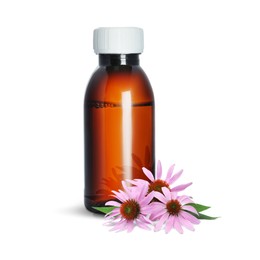 Image of Bottle of echinacea syrup and flowers on white background