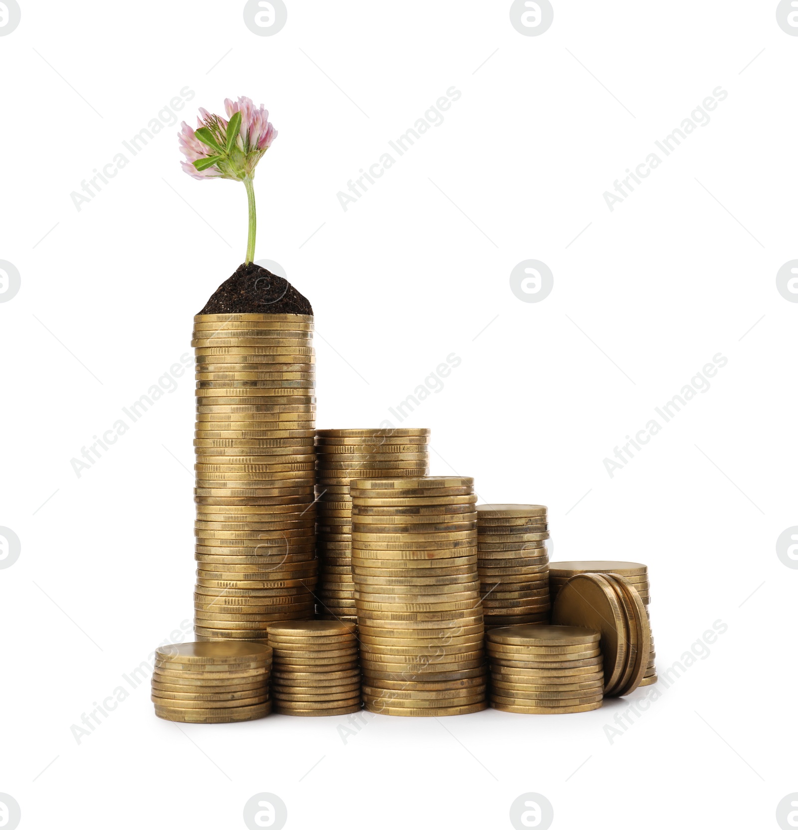 Photo of Stacks of coins and green plant on white background. Investment concept