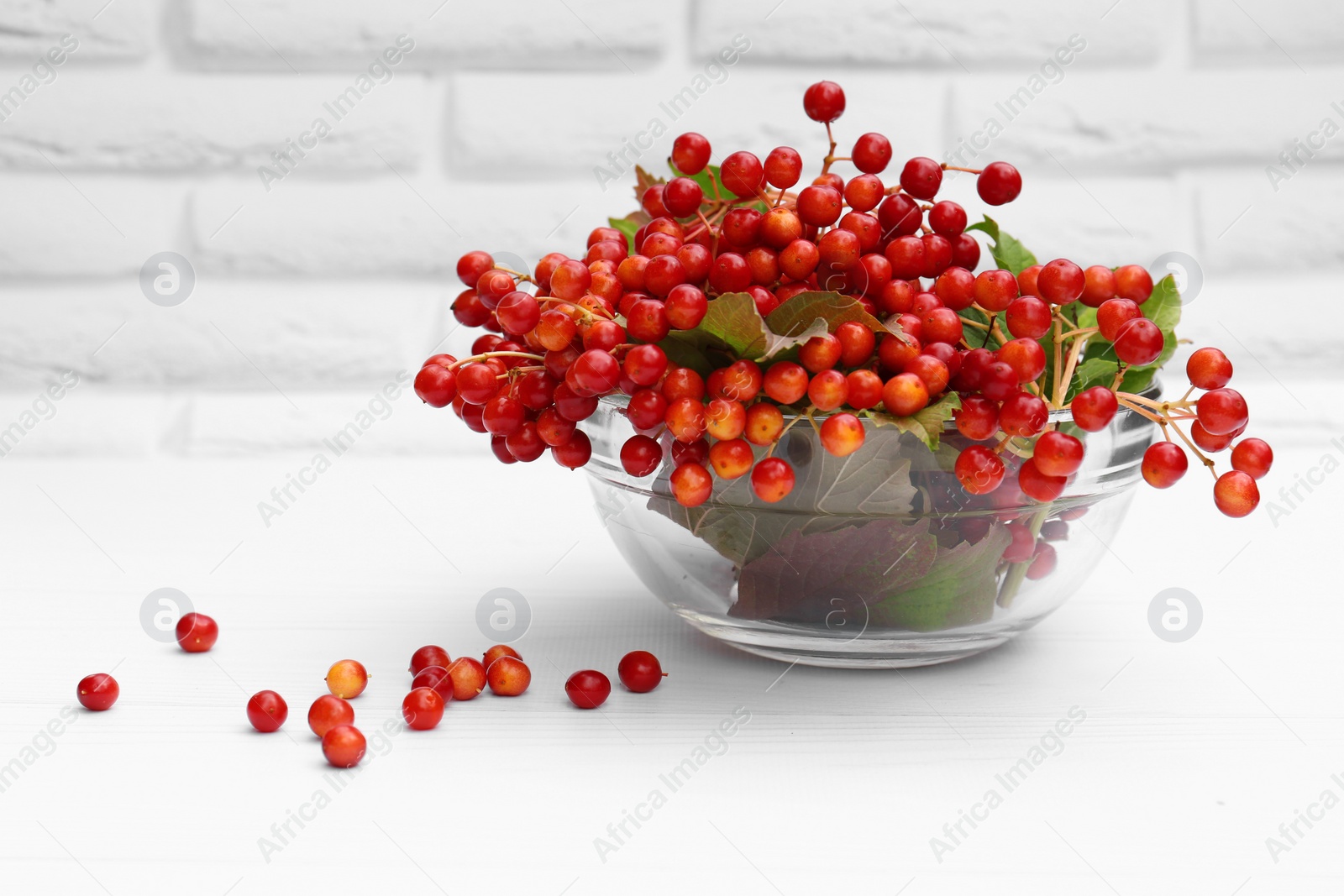 Photo of Bowl with ripe red viburnum berries on white wooden table