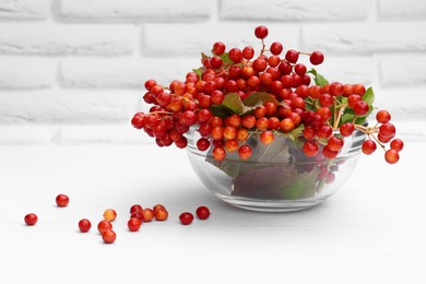 Photo of Bowl with ripe red viburnum berries on white wooden table