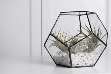 Photo of Tillandsia plants in florarium on white table, space for text. House decor