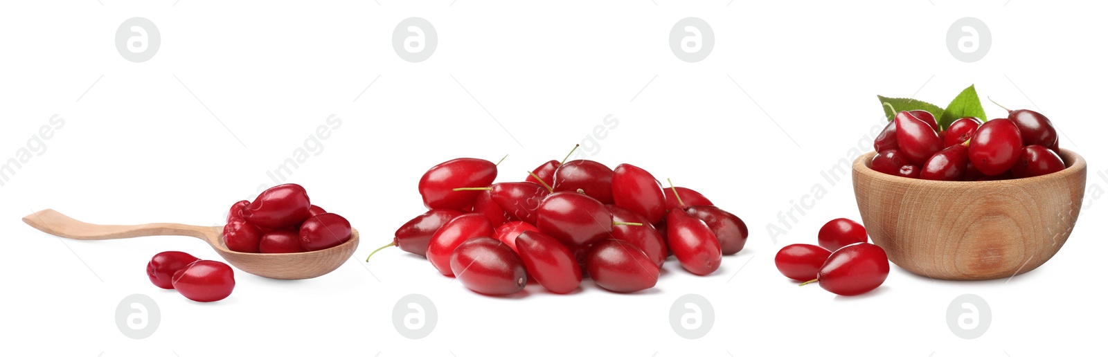 Image of Set of ripe red dogwood berries on white background, banner design