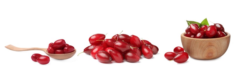 Image of Set of ripe red dogwood berries on white background, banner design