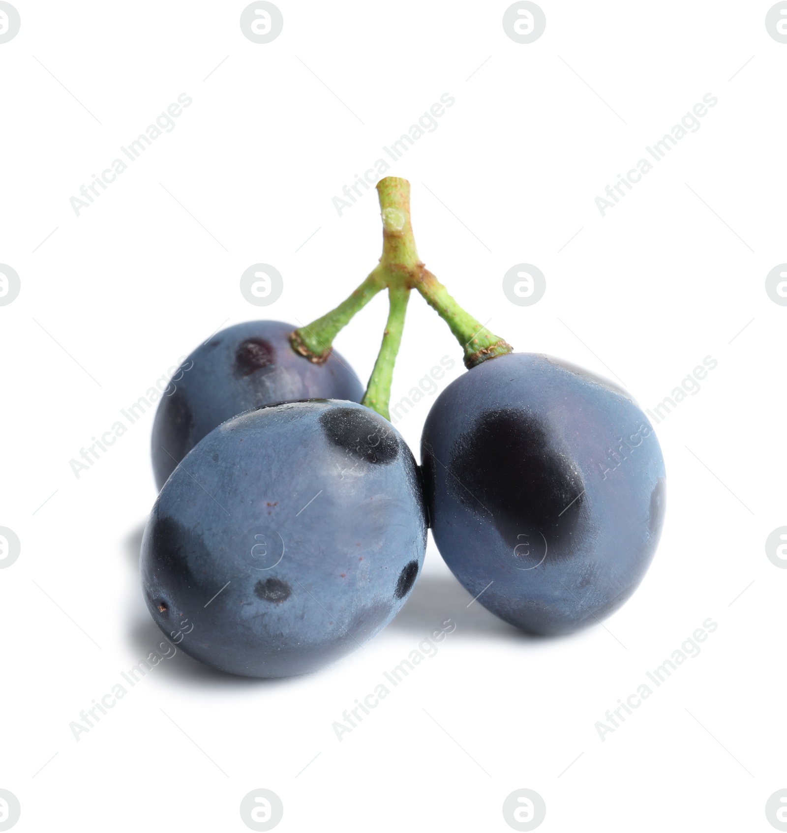 Photo of Fresh ripe juicy grapes isolated on white