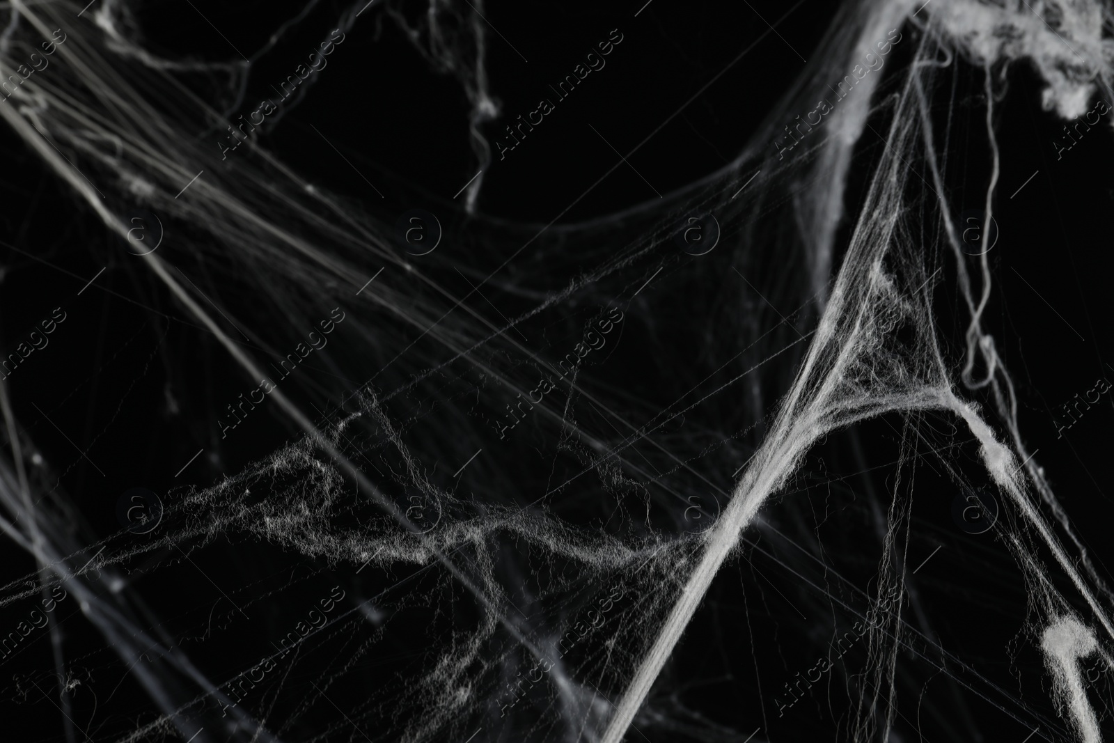 Photo of Creepy white cobweb on black background, closeup