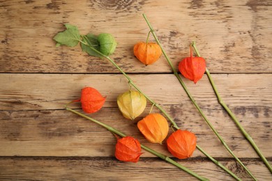 Physalis branches with colorful sepals on wooden table, flat lay