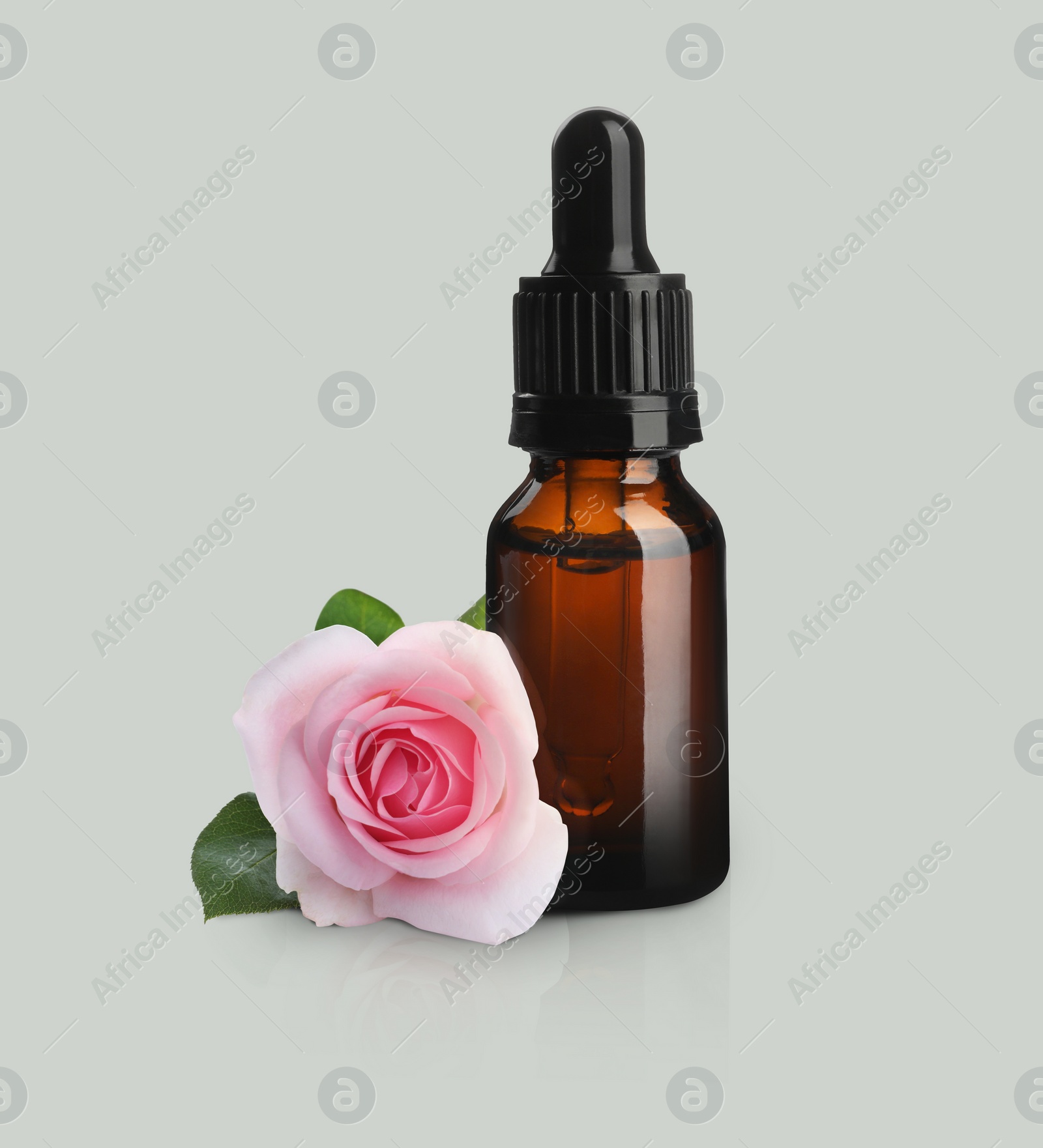 Image of Bottle of rose essential oil and flower on light background