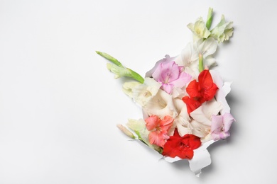 Composition with beautiful gladiolus flowers and torn paper