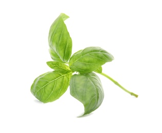 Photo of Fresh green basil leaves on white background