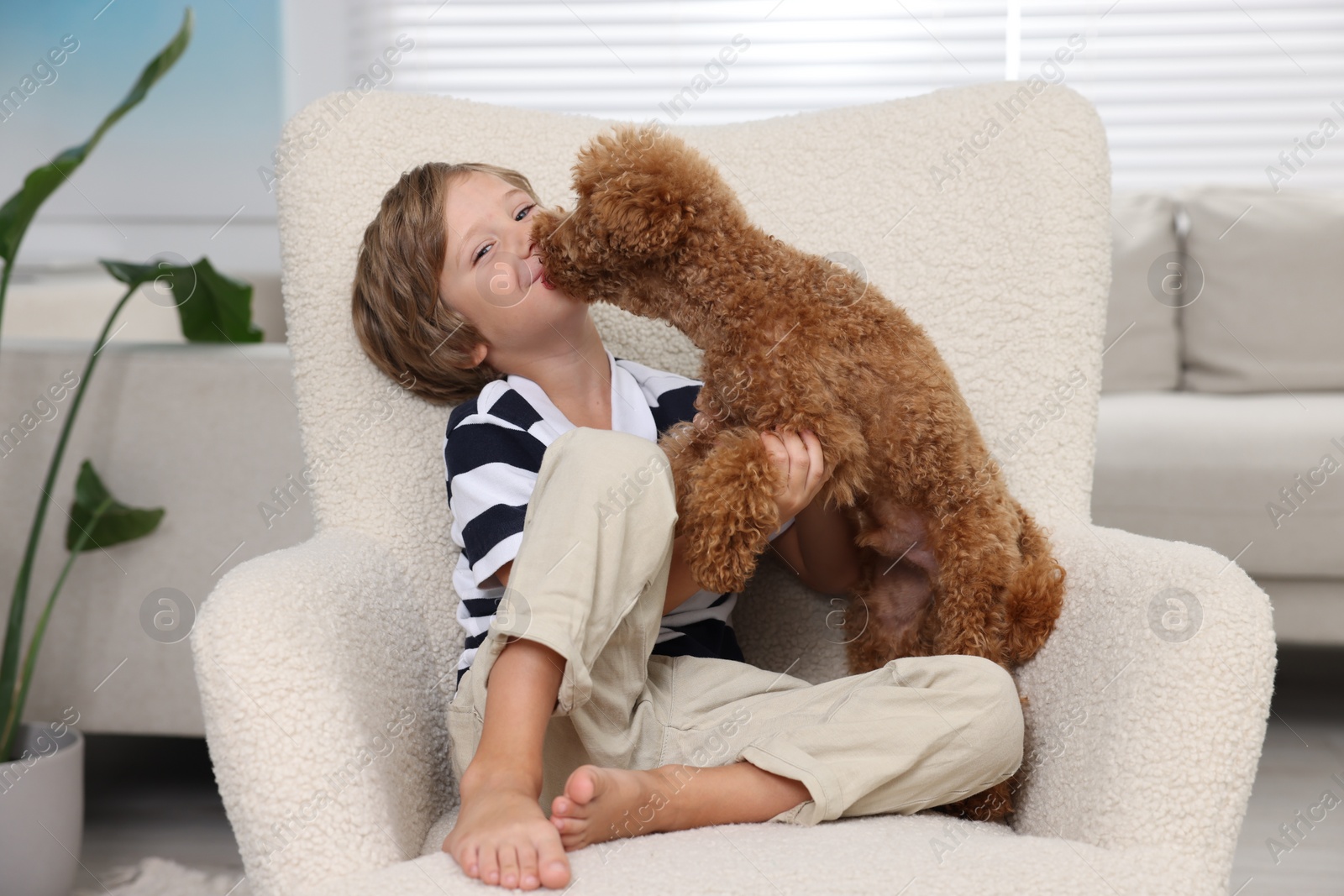 Photo of Little child with cute puppy in armchair at home. Lovely pet