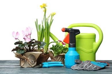 Photo of Composition with plants and gardening tools on table against white background