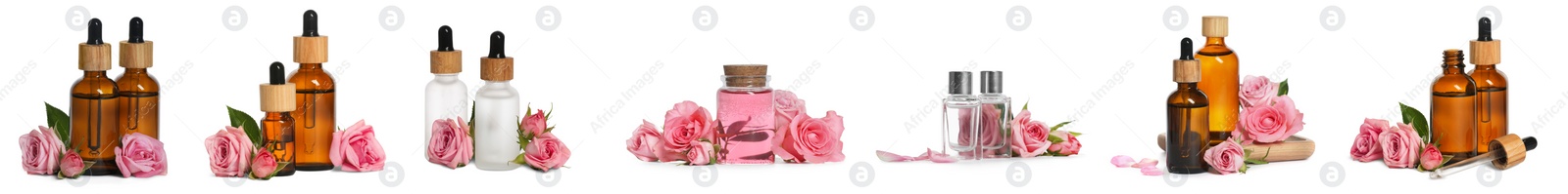 Image of Set with bottles of essential rose oil and flowers on white background. Banner design