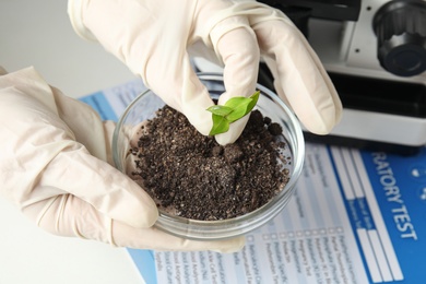 Photo of Scientist holding Petri dish with soil and sprouted plant over table, closeup. Biological chemistry