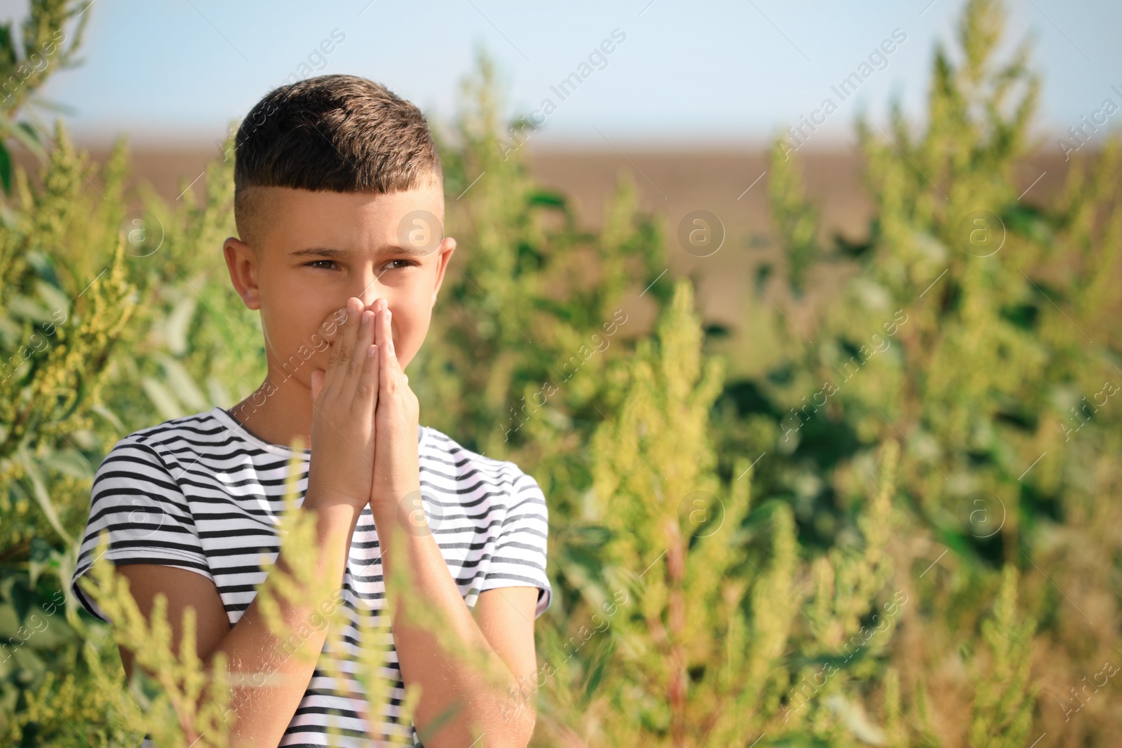 Photo of Little boy suffering from ragweed allergy outdoors